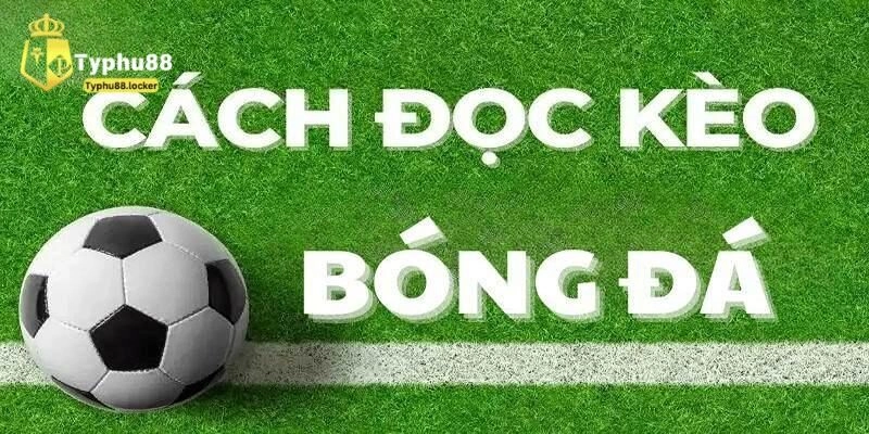 Tài xỉu bóng đã và thông tin cơ bản