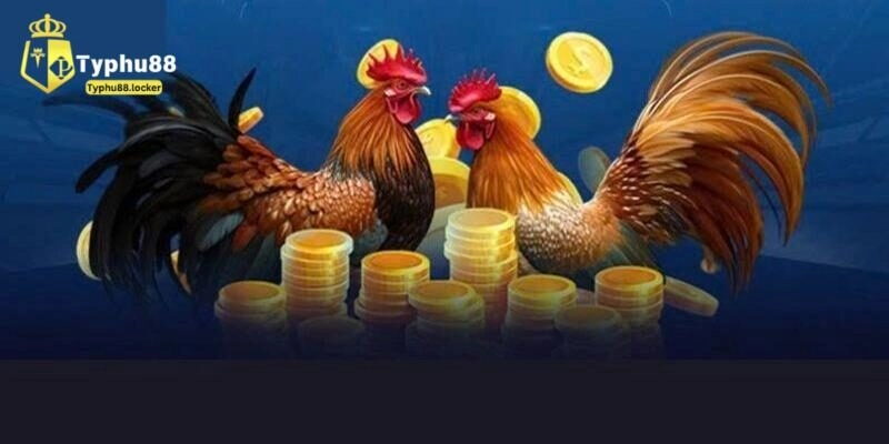 Đá Gà Trực Tiếp Typhu88 Sắc Nét, Hấp Dẫn Trong Từng Kèo Cược coi da ga truc tiep