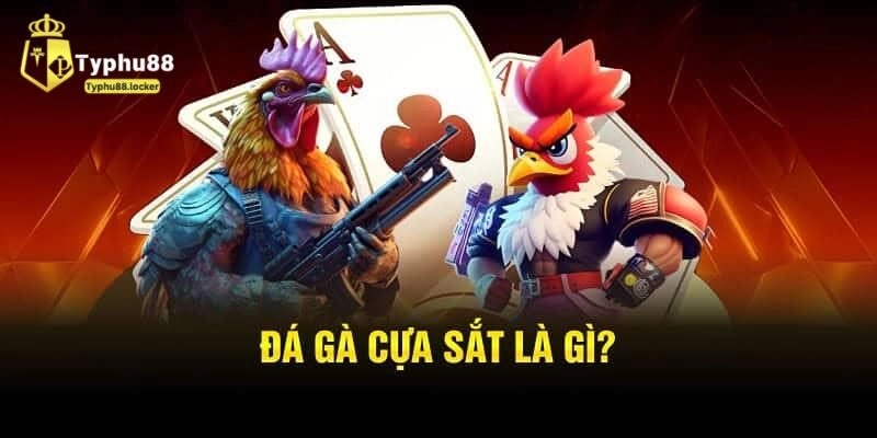 Giới Thiệu Bộ Môn Đá Gà Cựa Sắt Và Các Ưu Điểm Nổi Bật da ga cua sat 1