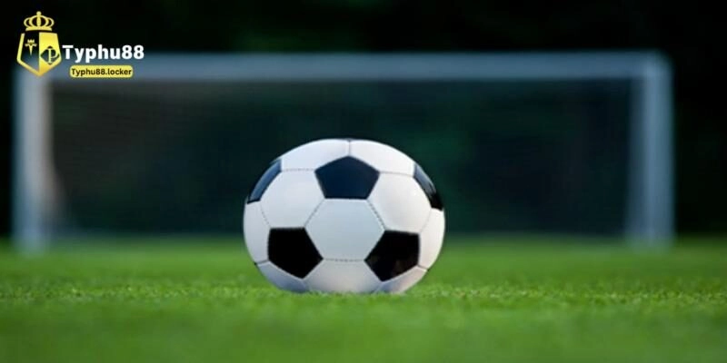 Tài Xỉu Đá Banh - Loại Hình Giải Trí Hấp Dẫn Tại Typhu88 Bí quyết chơi cược tài xỉu đá banh dễ vào bờ