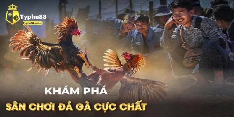 Luật Chơi Đá Gà Trực Tiếp Cùng Những Thông Tin Liên Quan luat choi da ga truc tiep