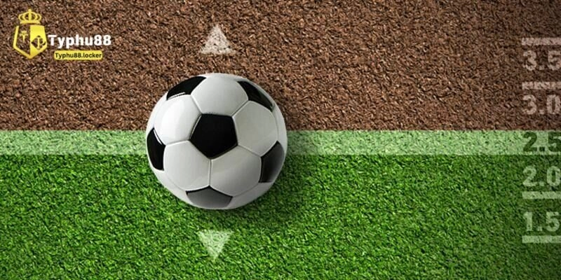 Hướng Dẫn Đọc Kèo Tài Xỉu Trong Bóng Đá - Bí Quyết Thắng Lớn Bật mí mẹo chơi tài xỉu trong bóng đá thắng lớn