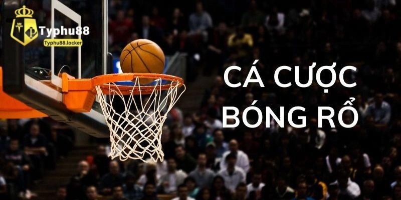 Thể Thao Typhu88 - Nơi Thoả Mãn Đam Mê Cá Độ Của Cược Thủ Kho tàng cá cược thể thao sống động tại Typhu88