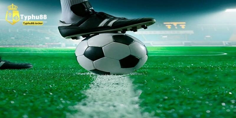 Tìm Hiểu Cách Cá Độ Bóng Đá Tài Xỉu Typhu88 Dành Cho Tân Thủ Giới thiệu về cá cược tài xỉu