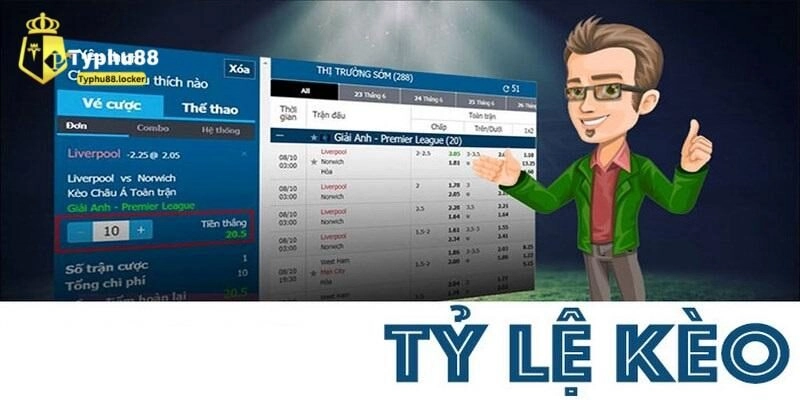 Khám Phá Kinh Nghiệm Cá Cược Bóng Đá Thắng Lớn Cùng Typhu88 Nghiên cứu về thực lực các đội tuyển trước khi ra sân