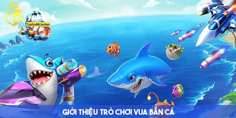 Top Cao Thủ Vua Bắn Cá Typhu88 – Bí Kíp Săn Trúng Đậm Vua bắn cá là gì?